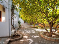 Lemon Tree Pefkos Apartments