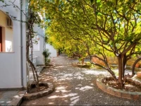 Lemon Tree Pefkos Apartments 3*