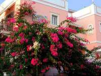Villa Rodanthos