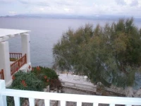 Dinas Inn 