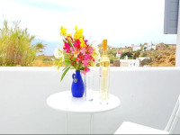 Paradise house