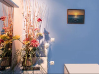 Ammes Hotel
