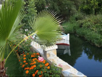 Three Palms Suites