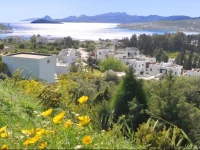 Bitez Residence 