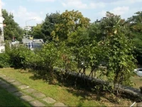 Apartment Begenilir 