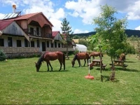 Daday Baris Atli Turizm Dogal Yasam Ciftligi 