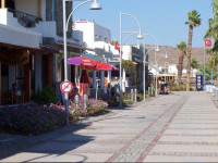 Bodrum Yalikavak Olive Tree Apart