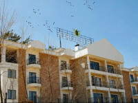 Amorium Park Hotel Wooden & Stone House