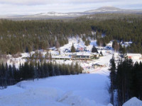 Suomu