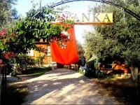 DatcAnka Ahsap & Kutuk Evler 