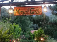 Masal Gibi