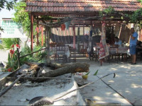 Ali Baba Pension