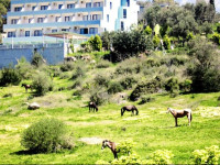 Ince Hotel