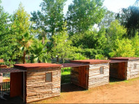 Medusa Camping
