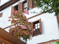 Beylerbeyi Konak Hotel 