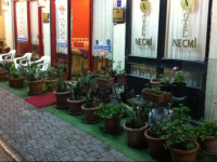 Hotel Necmi