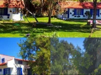 Mavi Zeytin Butik Otel 