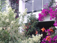 Keles Pansiyon & Restaurant