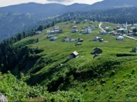 Nilgun Apart 