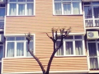 Sefa Apartment 