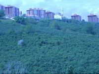 Liberta Evleri