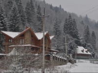 Elit Holiday Home