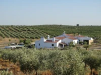 Monte das Aranhas Country House 