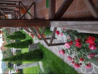 Pensiunea Valea Argesului 