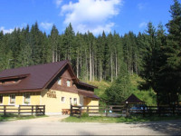 Vila Trifoiul