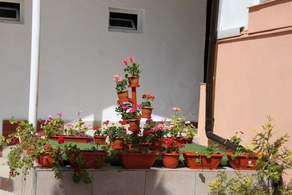 Pensiunea Casa Rusu 
