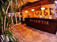 Hotel Premier Botosani 