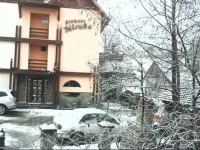 Pensiunea Miruna 