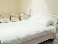 Apartment Poienelor 