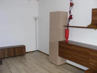 Apartment Toma Garii 