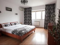 Next Apartments Coposu 