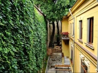 Umbrella Hostel 