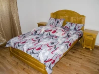 Vila Bucovina 