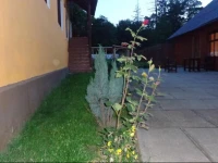Pensiunea Radu 
