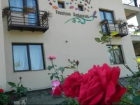 Pensiunea Casa cu Flori 