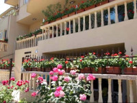 Hotel Dynes