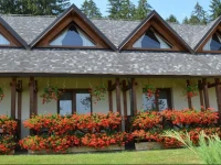 Pensiunea Inima Bucovinei 4*