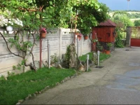 Casa Dodo 