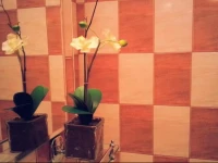 Apartament Tia 