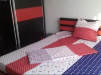 Apartment Sat Vacanta 