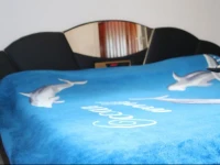 Cosmin Apartment 