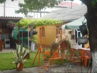 Casa Orhideea 