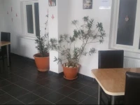 Casa Dobrescu Centura De Nord 