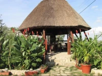 Pensiunea Cuibul Cucului 
