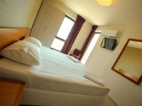 Hotel Cochet 