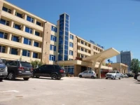Hotel Dacia Sud 